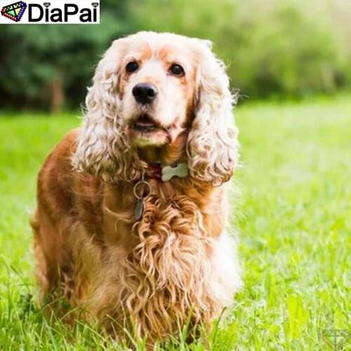 DIAPAI Paint With Diamond Embroidery "Animal dog" Diamond Painting Full Square Round Picture Of Rhinestone Decor A25937