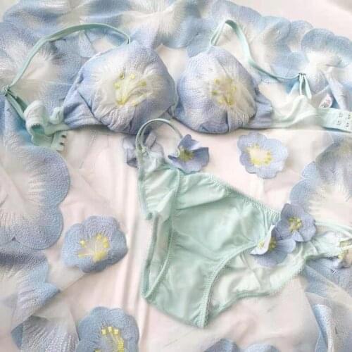 French Sexy Bra and Panty Set Underwear Women Pink Flower Bralette Luxury Floral Lingerie Femme Ethika Comfy Set Bra Panties New