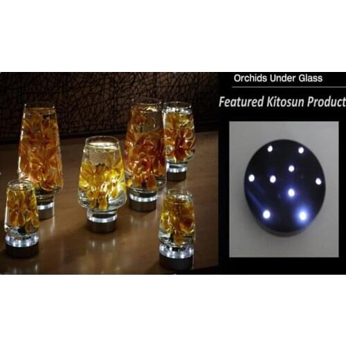 10pcs/lot Battery operated decorative 4 inch wide 1.1inch tall fairy lights for wedding centerpice