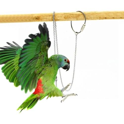 Arrival Parrot Stainless Steel Foot Ring Chain Opening Activity Ring for Lovebird Cockatiel Parakeet Bird Stand Anklet Supplies