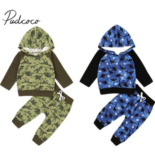 Kids Baby Boy Top Trousers Suit Dinosaur Printed O-Neck Long Sleeve Casual Sports Lace-up Pants Spring Autumn Outfits