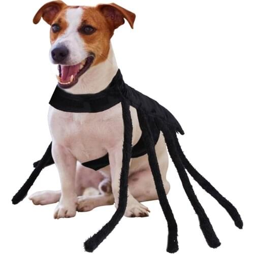 Halloween Costume Outfit for Dogs Cats Two Feet Clothes Funny Pet Clothes Halloween Dog Costume