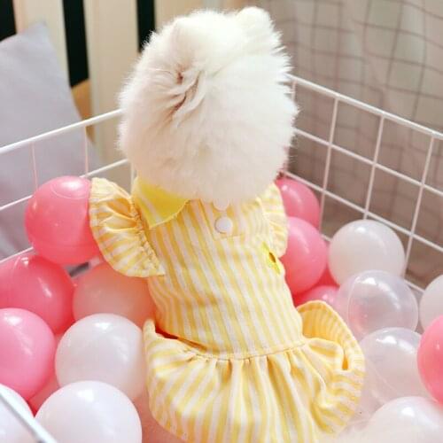 Pet Dresses Teddy Chihuahua Miniature Pinscher PomeranianYorkshire Dog Dress Poodle Cat Dog Clothes Thin In Summer Dog Jumpsuit