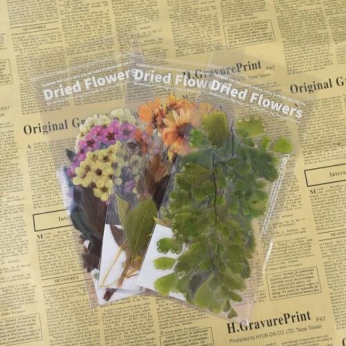 6pcs/set Vintage Green Plants Flower Diary Scrapbook Sticker Stationery Album Lable Retro Bullet Journal Decoration Stickers