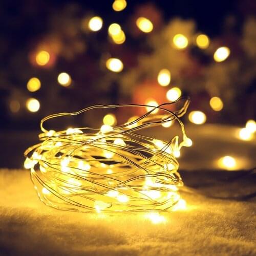 MERUEM LED String Lights With Transparent Wire