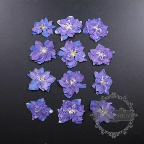 Small packs 3-4cm real dry pressed flower purple flower craft for DIY glass dome resin filling 1503106