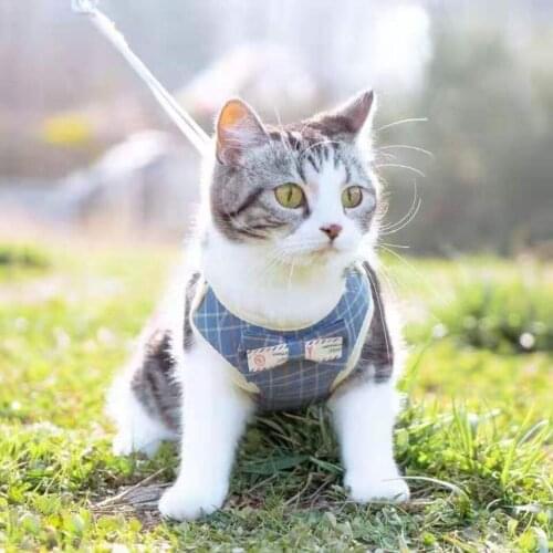 Cat Dog Adjustable Harness Vest Walking Lead Leash For Puppy Dogs Collar Polyester Mesh Harness Small Medium Dog Cat Pet E11396