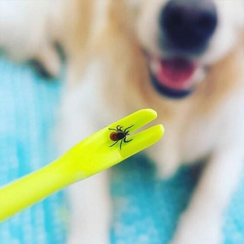 2PCS Pet cat tick removal Plastic Tweezers Comb Tool Scratching Hook Remover Pet Dog Grooming Supplies pince a tique tick key