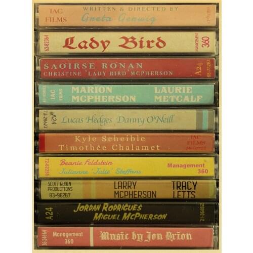 Vintage Movie Lady Bird Retro Printed Water-Soluble Canvas 11CT Cross Stitch Full Kit DIY Embroidery DMC Threads Adults