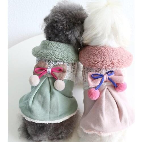 Small Pet Cat Dog Clothes Winter Puppy Dress Yorkshire Maltese Chihuahua Shih Tzu Pomeranian Bichon Poodle Dog Clothing Costumes