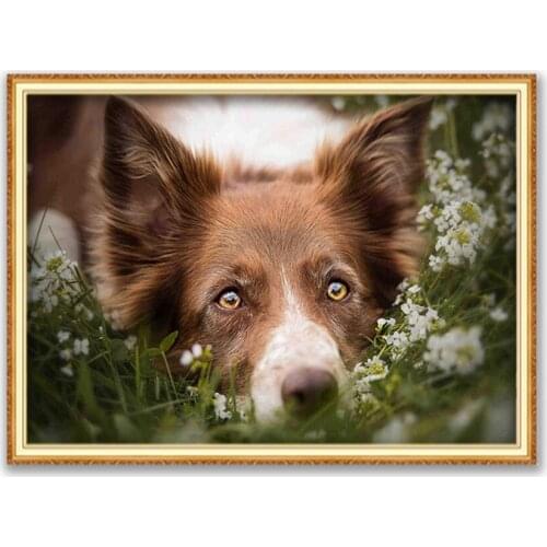 Animal Border Collie DIY 11CT Embroidery Cross Stitch Kits Needlework Craft Set Printed Canvas Cotton Thread Decoration On Sale