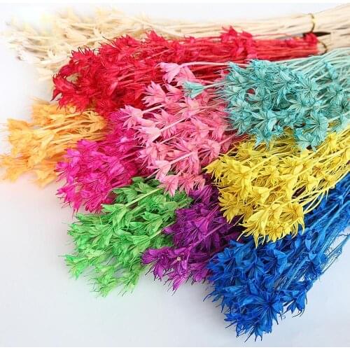 Bouquet Real Dried Flowers Natural Plants Branch Colorful For Home Decor Aromatherapy Candle Epoxy Resin Pendant Craft Scrapbook