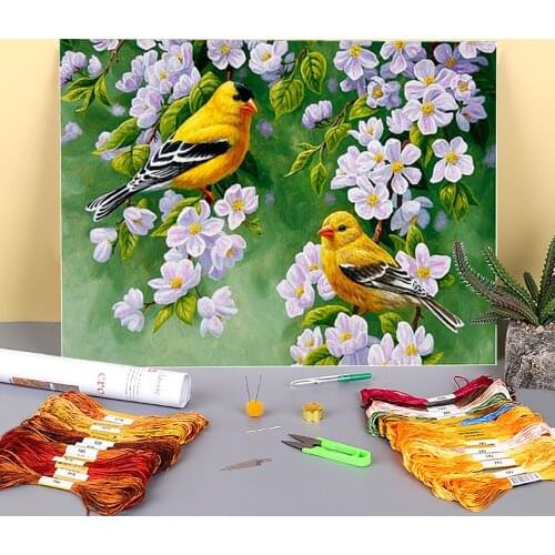 Bird Animal Printed 11CT Cross-Stitch Complete Kit DIY Embroidery DMC Threads Painting Craft Handicraft Handiwork Needle Magic