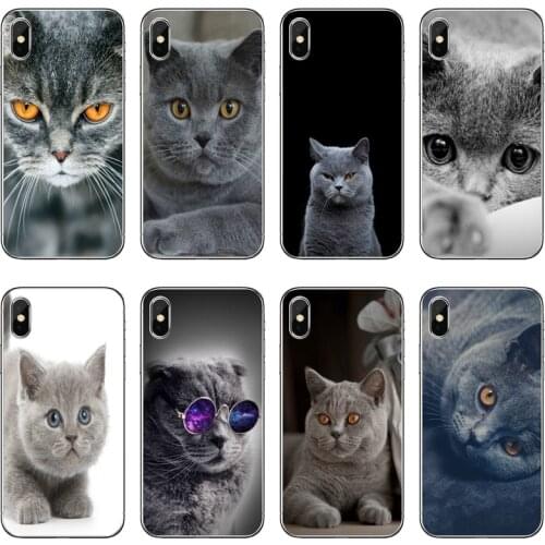 British shorthair cat Accessories Phone Case For Huawei Honor 20 10i 9X 10 Lite 8S 8C 8X 7C 7X 7A 6C Pro 6 6A 6X 5C V10
