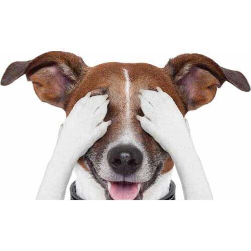 Lifelike Car Stickers Jack Russell Terrier Sticker Surfboard Fine Decal Graffiti Sticker Vinyl Material Waterproof Decoration