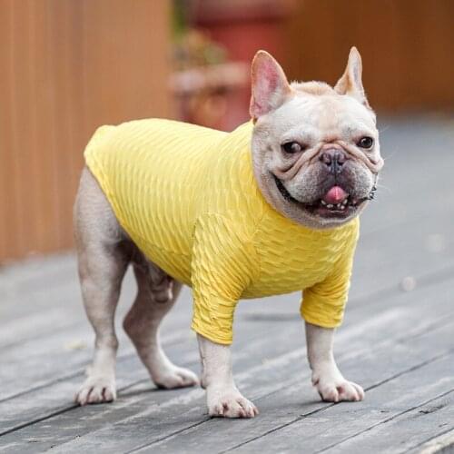 Dog Clothes Base Shirt For Small Medium Large Dogs Autumn Winter Pet Undershirt Warm Soft Clothing For French Bulldog Labrador