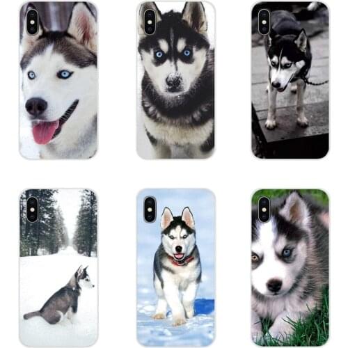 Accessories Phone Shell Covers For Huawei Nova 2 3 2i 3i Y6 Y7 Y9 Prime Pro GR3 GR5 2017 2018 2019 Y5II Y6II Animals Dogs Husky