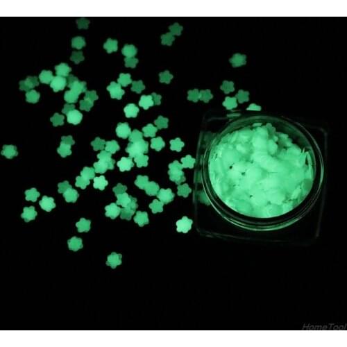 Luminous Sequins Glow In the Dark Glitters Resin Jewelry Findings Nail Art Craft N23 20 Dropshipping
