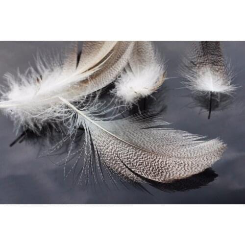 Tigofly 30 pcs/lot Natural Barred Mallard Duck Flank Feathers Wild Goose Hair Wings Tails Streamers Fly Tying Materials