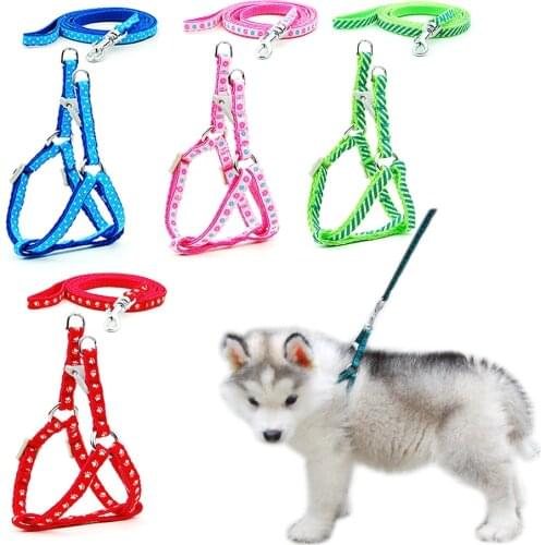 2 pieces/lot Dog Cat Harness Leash Harness Vest Leash Collar Puppy Small Pet Outdoor Walking Chihuahua Terier Schnauzer