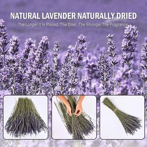 50Pcs Lavender Dried Flowers Home Photography Props Wedding Holiday Ornament Artificial Lavender Dried Flowers Home Decoration