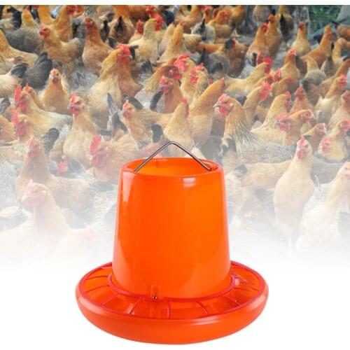 Chicken Feeder Plastic Hen Drinker 3 Kg / 6.6 Pound Capacity Food Dispenser for Birds Small Poultry Feeding Equipment