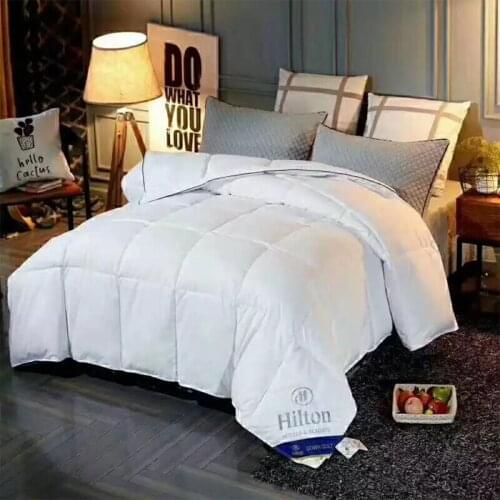 Popular hot sale velvet quilt luxury Hilton feather velvet thick winter summer home hotel comforter wholesale blanket