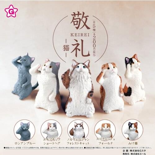 Japan genuine capsule toys cute Ragdoll Exotic shorthair calico Scottish Fold Bobtail Korat cat KEIREI salute gashapon figures