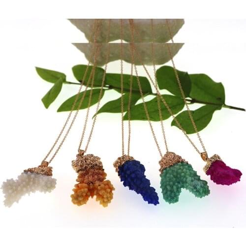 5Color New Arrival Coral Necklaces for Women Natural Coral Charm Necklace with Chain Fashion Jewelry