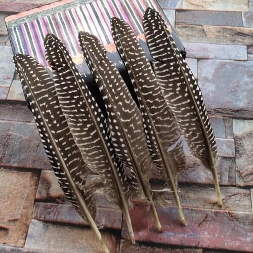 Wholesale 10 pcs Beautiful Natural Pheasant Feathers 20-25cm/8-10 inch DIY Jewelry Christmas Holiday Decoration