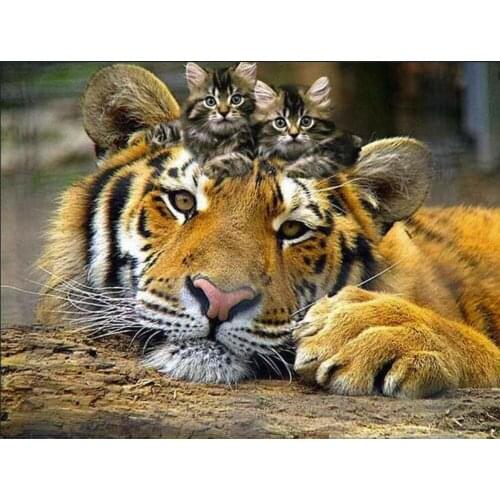 Animal 5D DIY Diamond Painting Full Square Tiger cat 3D diamond Embroidery sale mosaic Rhinestones wedding Decoration art FG1424