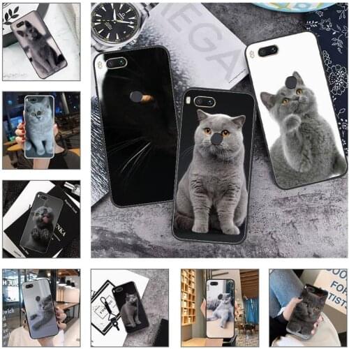 British shorthair cat Phone Case For Xiaomi Mi Redmi Note 8T 9T 9S 9A 10 7 8 9 Lite pro