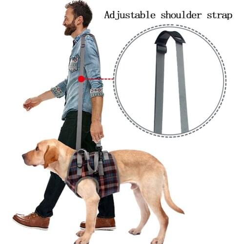 Breathable Rehabilitation Belt For Medium And Large Dogs Leg Disability Injury Walking Bracket Walking Aids For Dogs With Handle