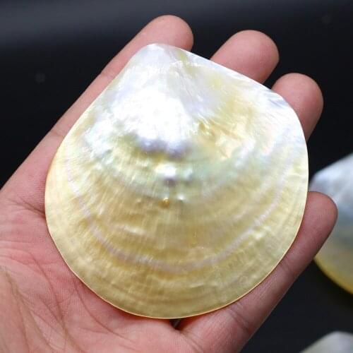 Fashion Natural Shell Charms Mother Of Pearl Sea Shell No Hole Pendant for DIY Necklace Accessories Jewelry Making Supplies Gift