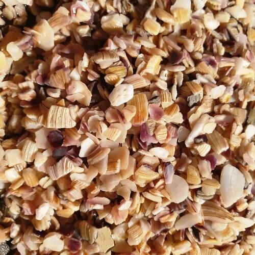 Crashed mussel soil 4-6 mm good for such Cryptocoryne aquarium plants 490-500 gram aquarium ground decorative product