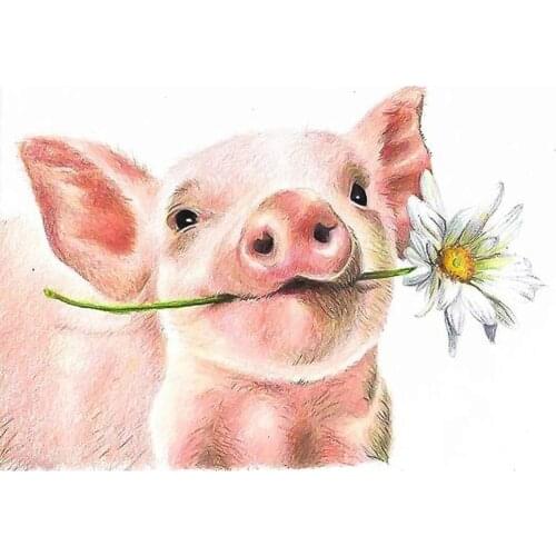 Animal Pig DIY Cross Stitch Embroidery 11CT Kits Needlework Craft Set Printed Canvas Cotton Thread Home Decoration On Design