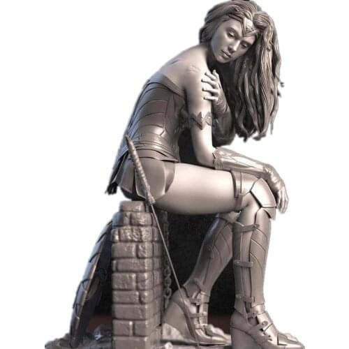 1/6 25cm 3D Printing Figure Unpainted Model