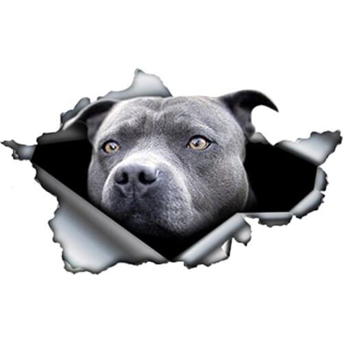 Personality Blue Pitbull Car Sticker Torn Metal Decal Reflective Stickers Waterproof Car Styling Car Decoration Suitable for Car