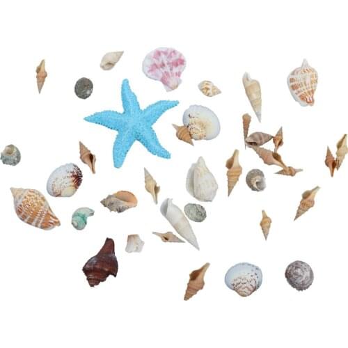 Decorative Natural Embellishments Shells Starfish Craft Beach Home Weddings Party Decorations Partys Supplies Accessories