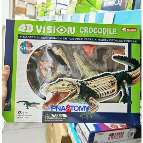 4D MASTER Animal Puzzle Crocodile Toys Animal Models Detachable DIY Cayman Gifts Alligator Educational Tool 4D MASTER 26114