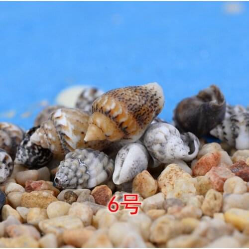 1PC Simulation Shells mix color mix sizes Miniature Garden Ornament Micro landscape toys small DIY Mini Fairy tale world