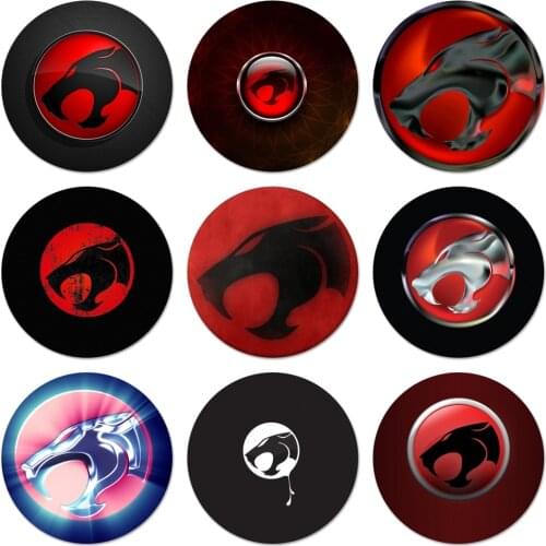 ThunderCats logo Icons Pins Badge Decoration Brooches Metal Badges For Clothes Backpack Decoration