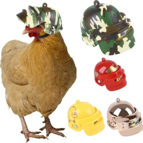 Pet Chicken Helmet Bird Chick Duck Quail Hard Hat Head Protection Headgear Headwear Supplies Chicken Farm Animal Products