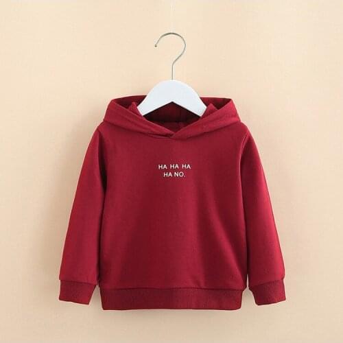 2020 Sweatshirts Baby Girls Boys Hoodies Toddler Kids Sweatshirts Childrens O Neck Long Sleeves Hoodies Clothes DR5