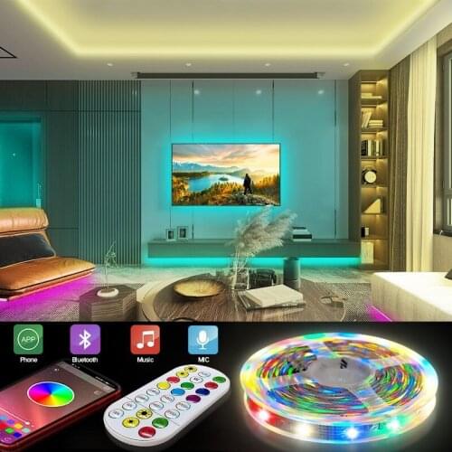 LED Lights with Low Voltage Flexible Colorful Neon Strips SMD 5050 RGB Individually Addressable Flexible Ribbon Tape DC 12V