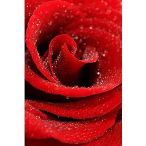 5d diamond painting Landscape flower full square diamond embroidery Cross stitch pictures of rhinestones Wedding decoration