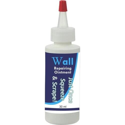 Wall Repair Agent Plaster Wall Renovation Household Crack Repair Plaster Waterproof Safe and Durable TS2
