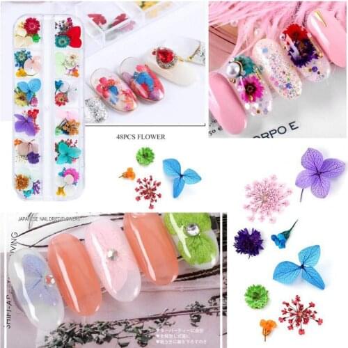 2 Boxes/Set Dried Flowers Nail Decorations Jewelry Natural Floral Leaf Stickers 3D Nail Art Designs Polish Manicure Accessories