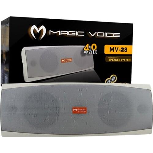 MAGICVOICE MV-28TRF 2*13CM 40W WHITE SINGLE COLUMN SPEAKER TRANSFORMER