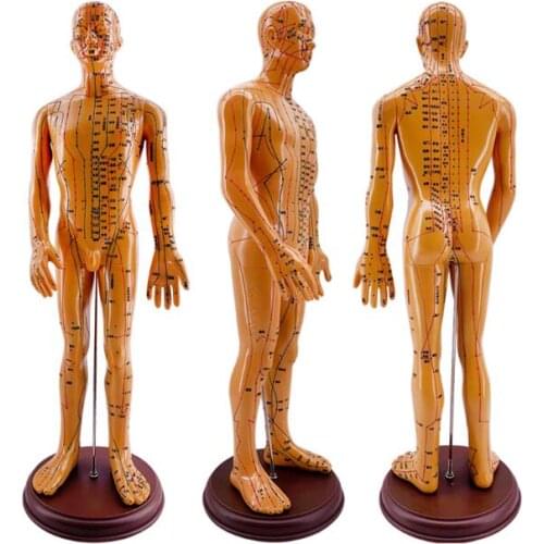 60CM Male Lettering acupuncture point body mannequin of acupuncture, Medical Research massage reflex zone teaching model C518